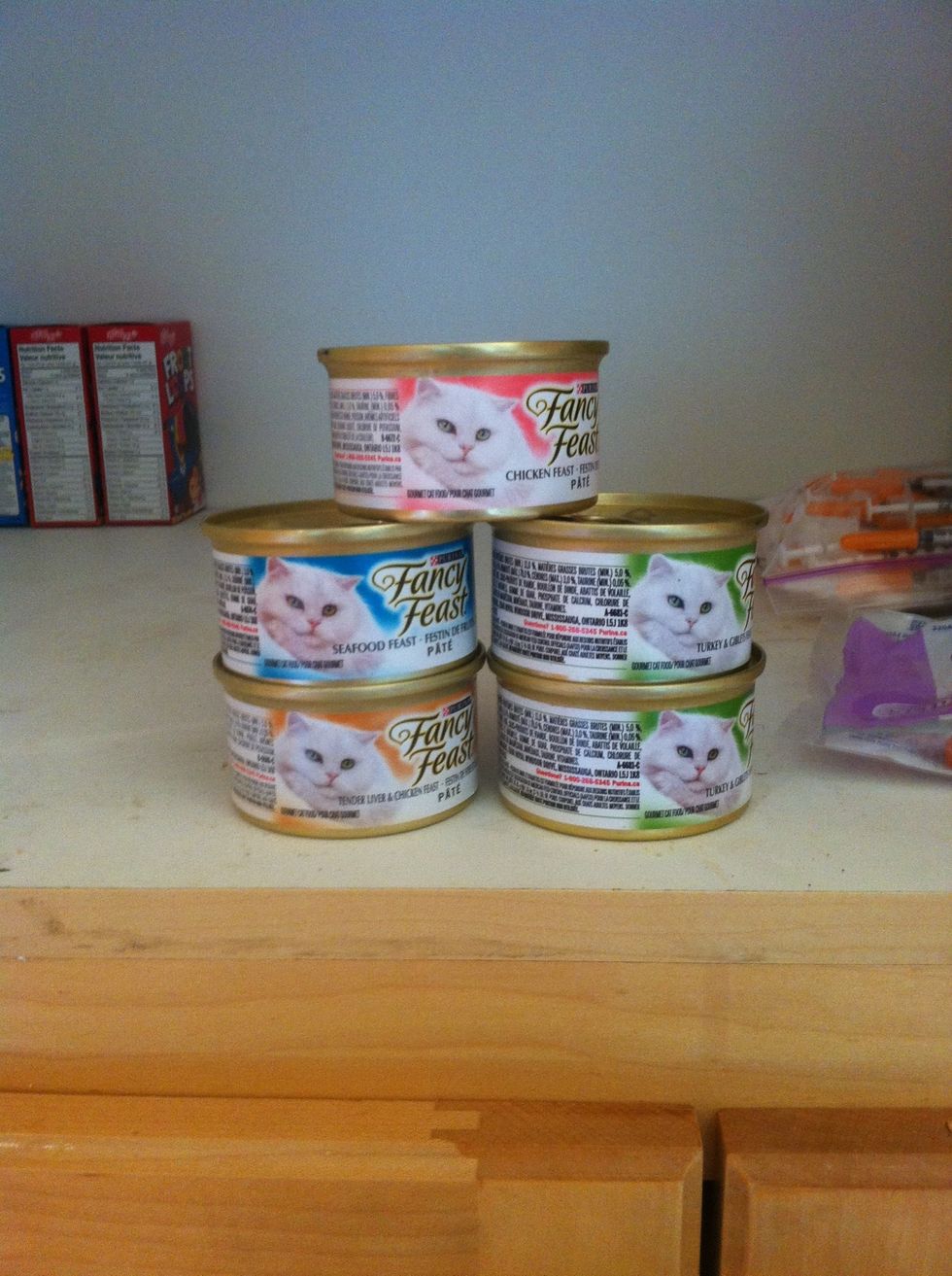 get a tin of wet food too