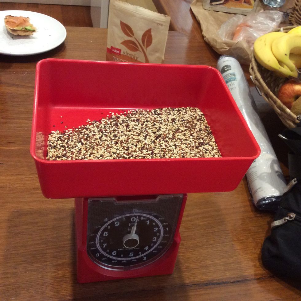 Get all of your ingredients ready.