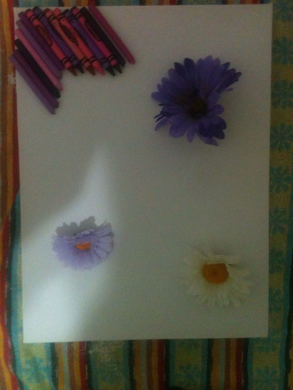 Get all your materials together