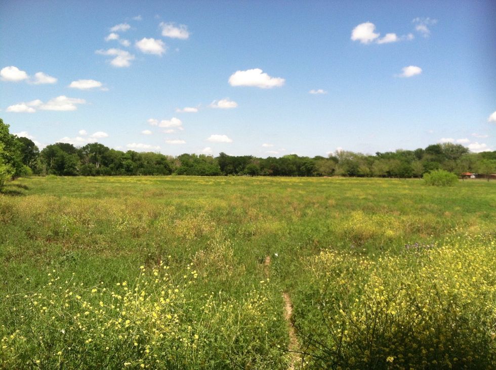 Get back. Step away. Farther then you think you should.