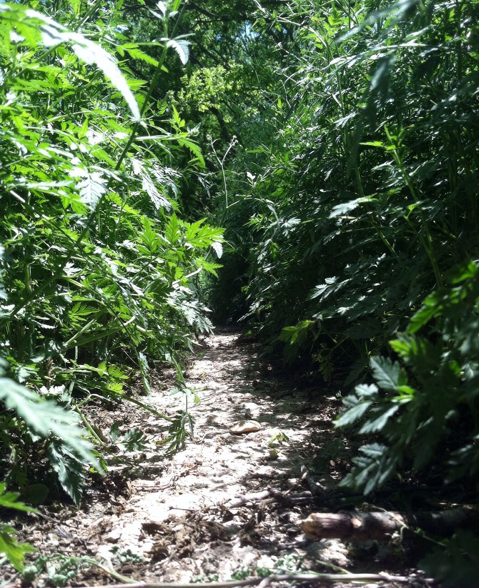 Get down. \ud83d\ude1c  I mean, lay on the ground and see things from a different point of view. You might be surprised how beautiful it is.