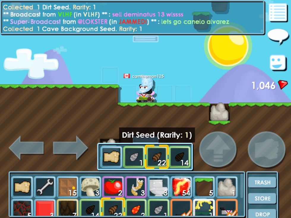 Get only get dirt and cave backround seeds