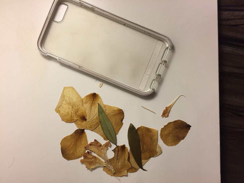 Get Or Make Pressed Flowers That You Love (; & Grab Any Clear Cell Phone Case. Works For Anything, iPhone, Android, ETC.