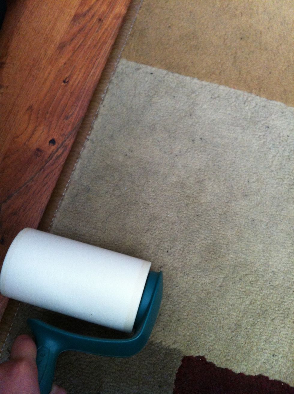 Get out your lint roller! And have at it! Roll it all over that dirty nasty naughty carpet. Haha :)