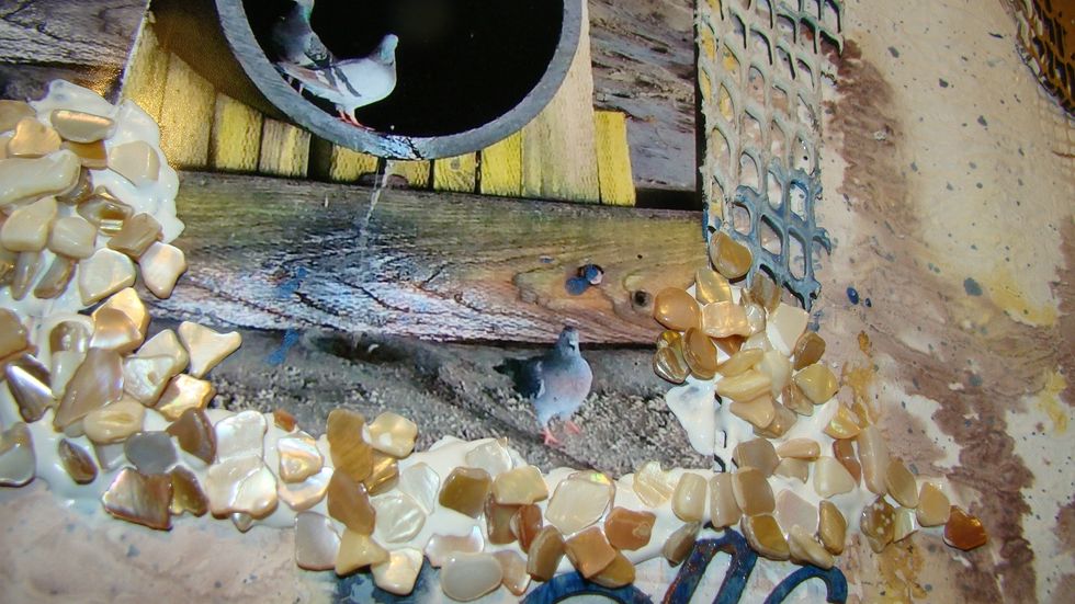 Get out your Mud and add some more texture, I globbed this on my page and sprinkled shells around, allow to dry.