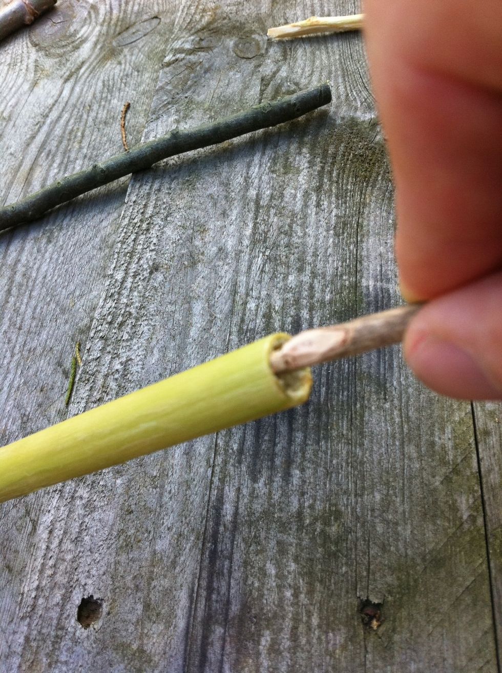 Get rid of the soft inside of the elderwood, except for about 5cm at the end. So your whistle isn't fully open.
