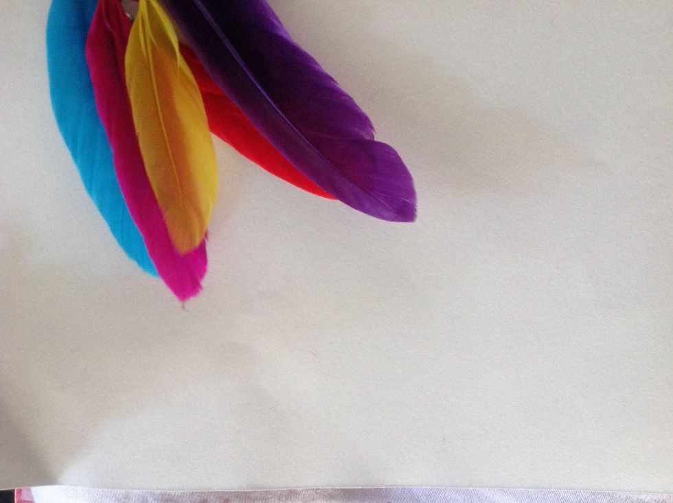 Get single feathers. Same color or different.