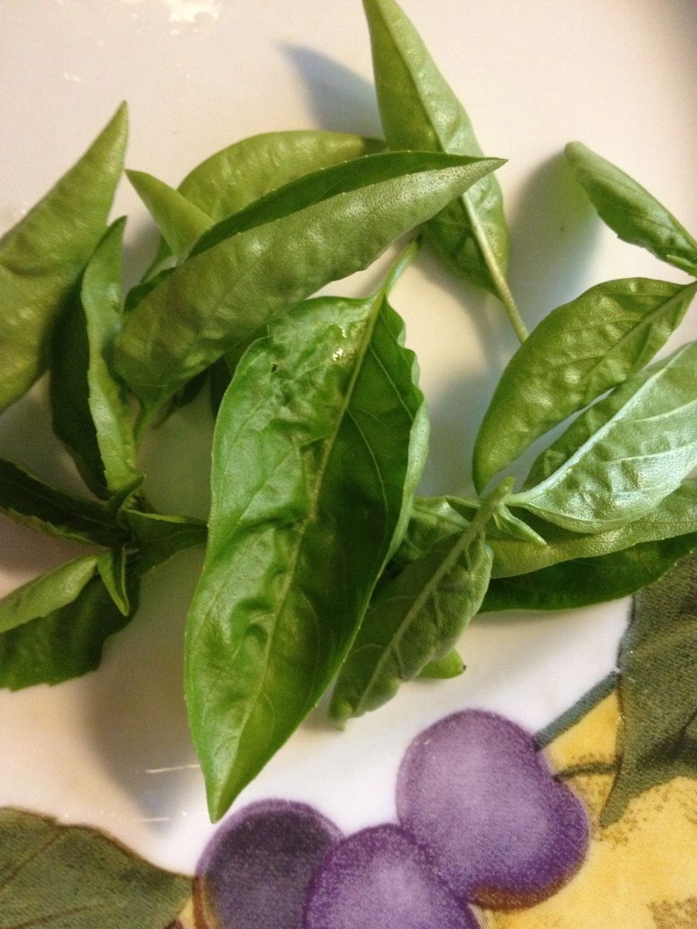 Get some basil! A 4 inch stem is good enough.