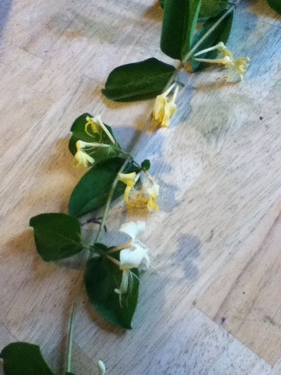 Get some honey suckles.