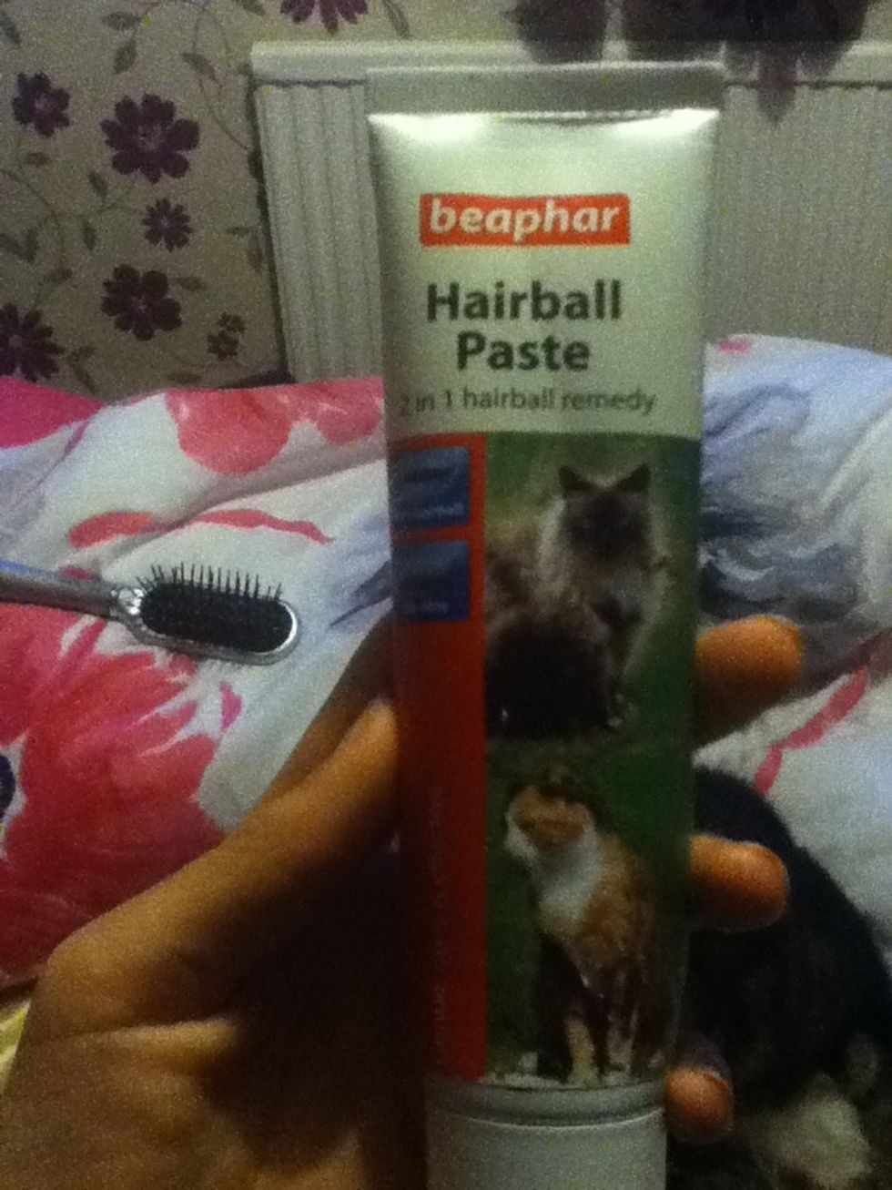 Get some of this! It's a paste that prevents hair balls and cats love the taste! It's available at most pet stores (I got mine from pets at home)