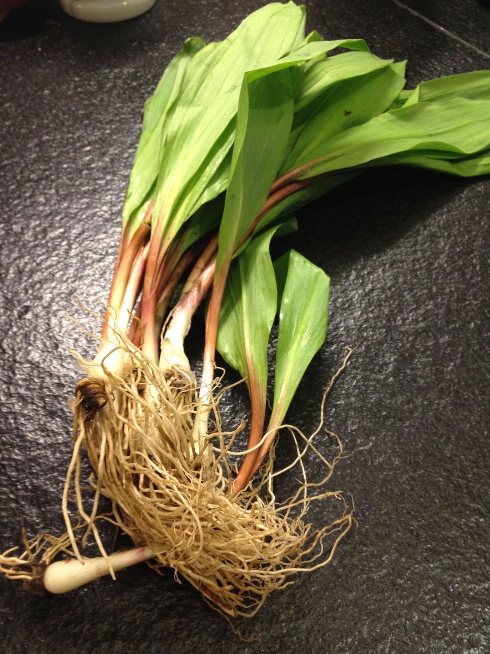 Get some ramps