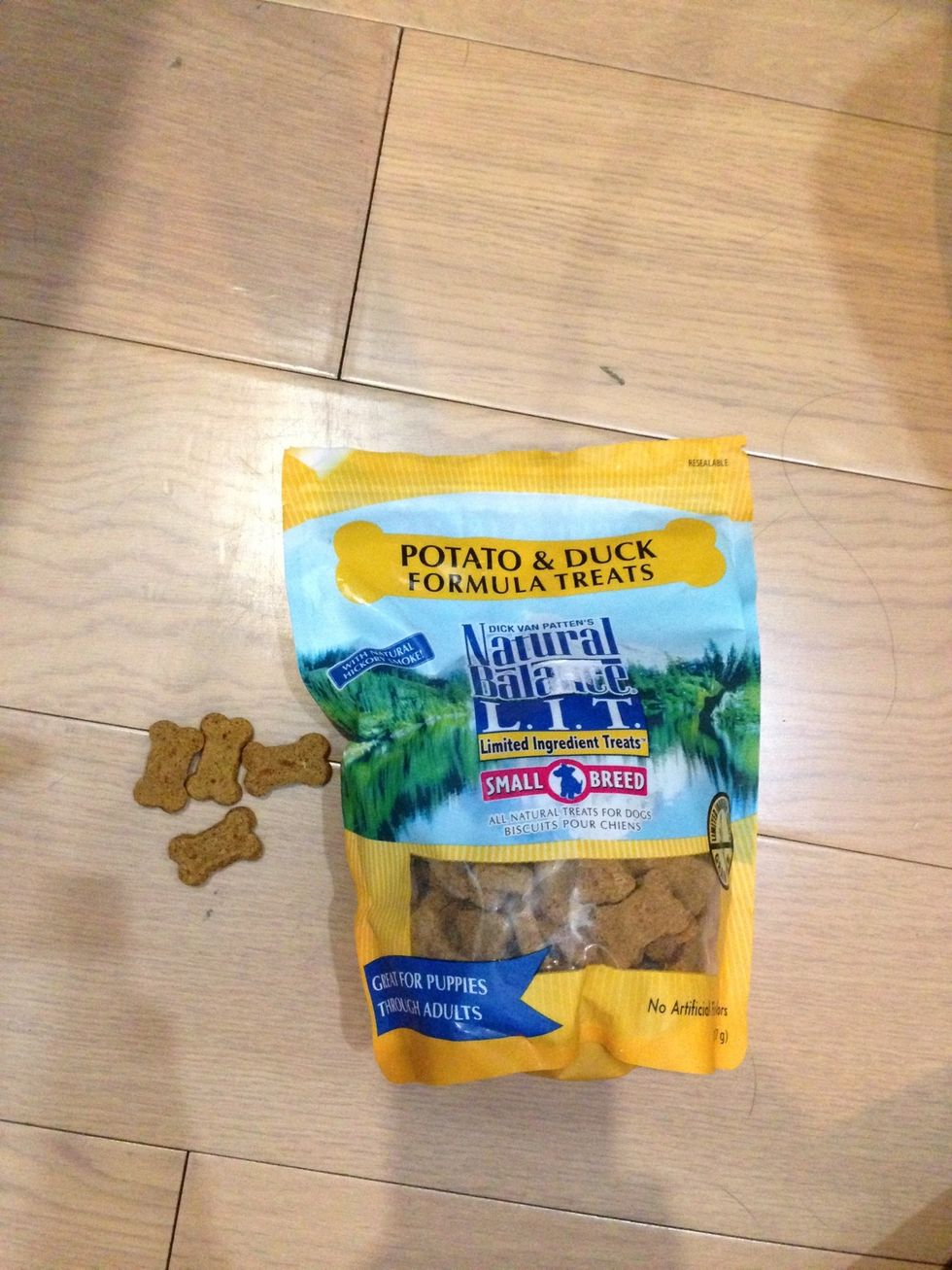 Get some treats that your dog LOVES