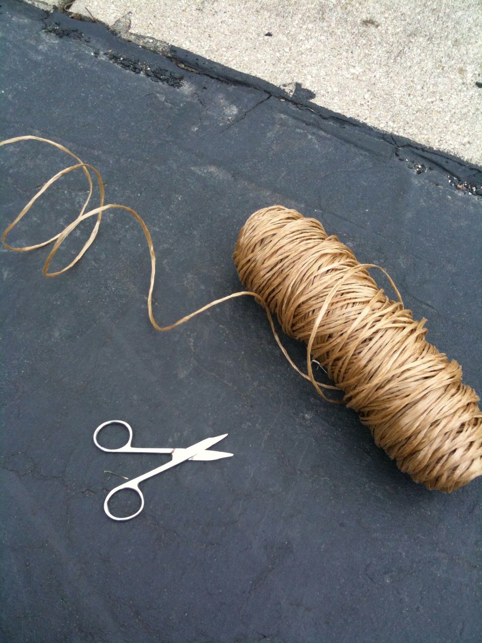 Get some twine or rope and a pair of sharp scissors. Those tiny scissors on the left work very well.