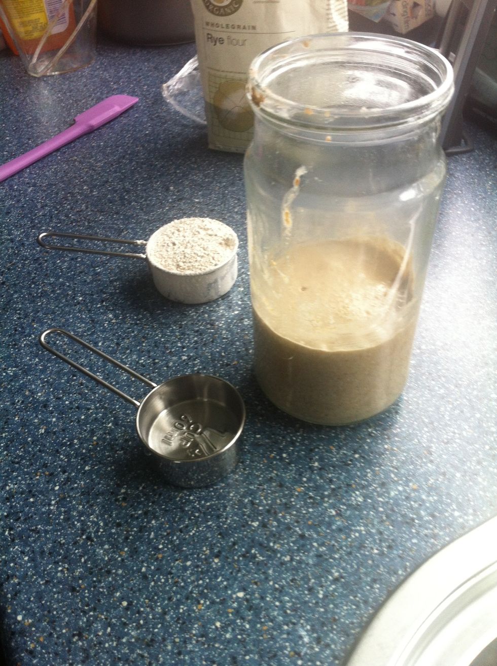 Get the 1/4 cup of tap water and 1/3 cup of Rye Flour ready for its first 12 hourly feed
