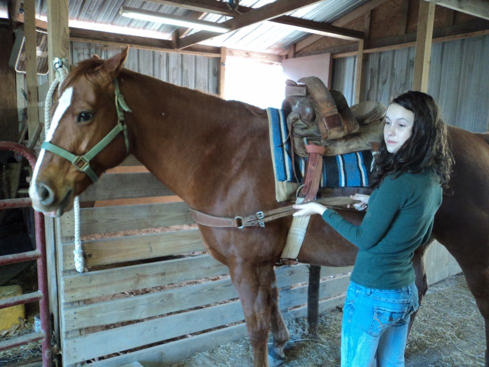 Get the breast strap from the right side of the horse and bring it over to the left side of the horse.