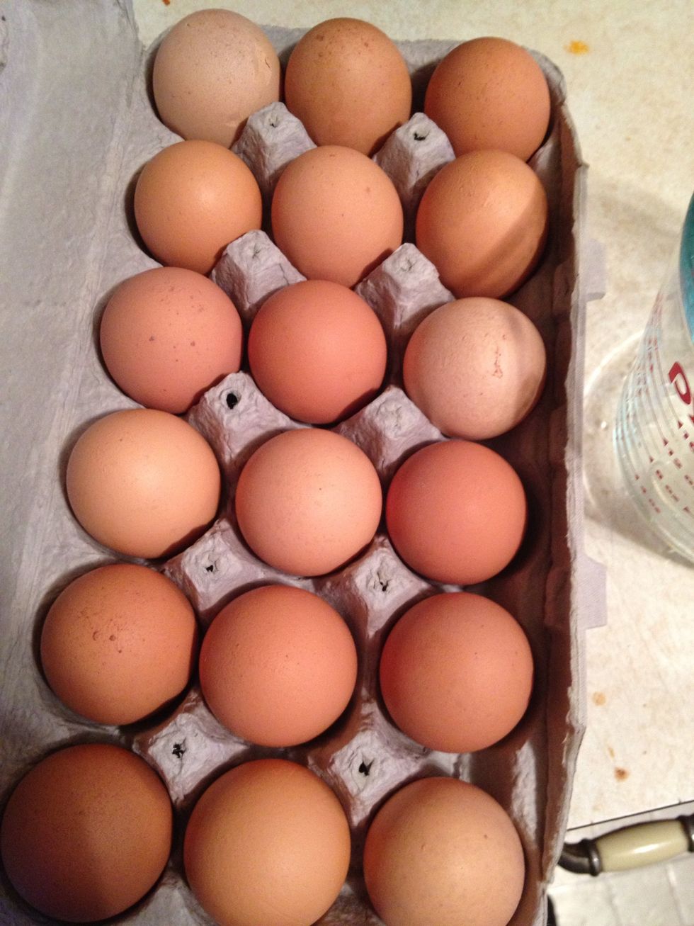get the eggs
