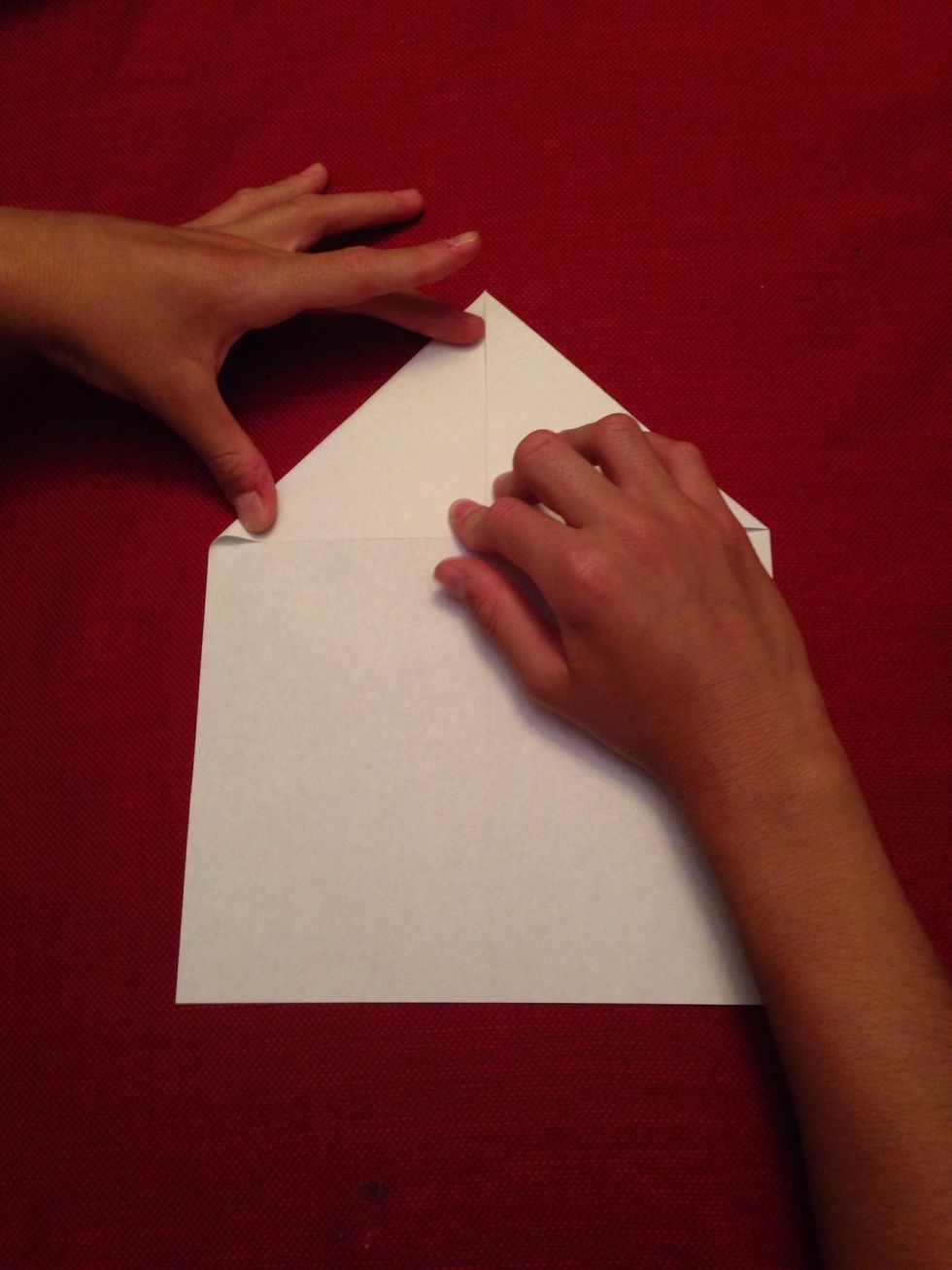 Get the other side of the paper and crease it towards the middle like the other side.