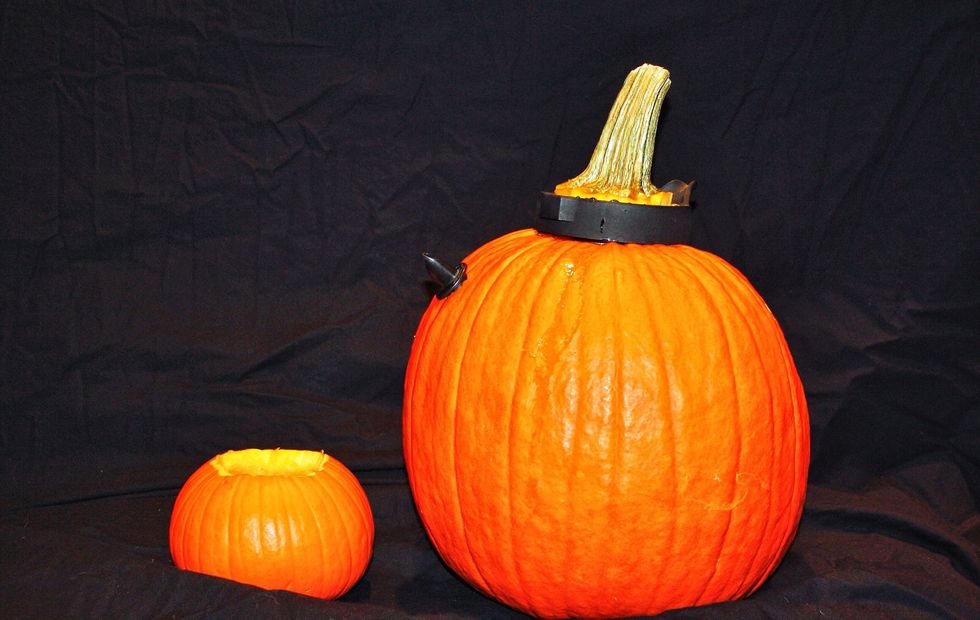 Get the pumpkin cup and make sure the tea has steeped fully.