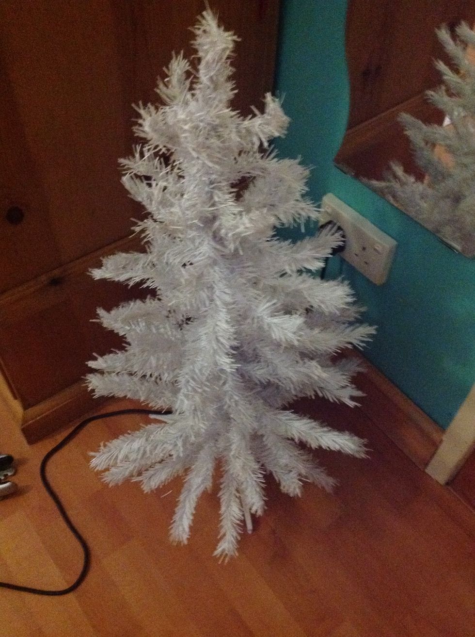 Get the tree and stand it up