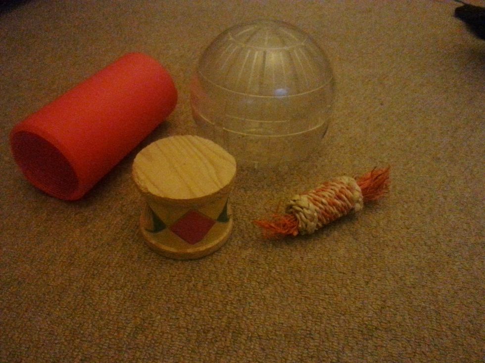 Get toys! Hamsters NEED toys to keep them entertained in their cage and out of their cage.