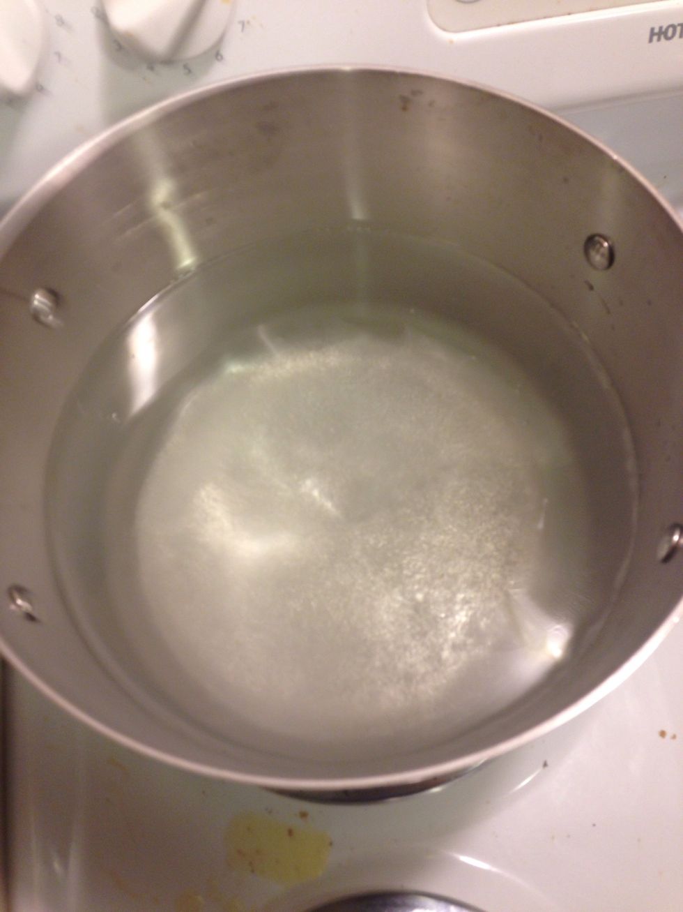 Get water boiling! Your meal will damn near be done when you get done cooking the pasta!