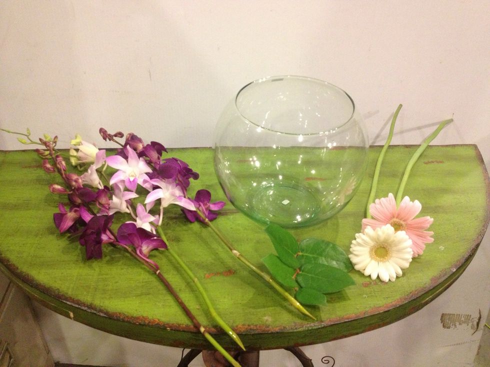 Get what you'll need! (Any of us have a bowl... The fish died!)