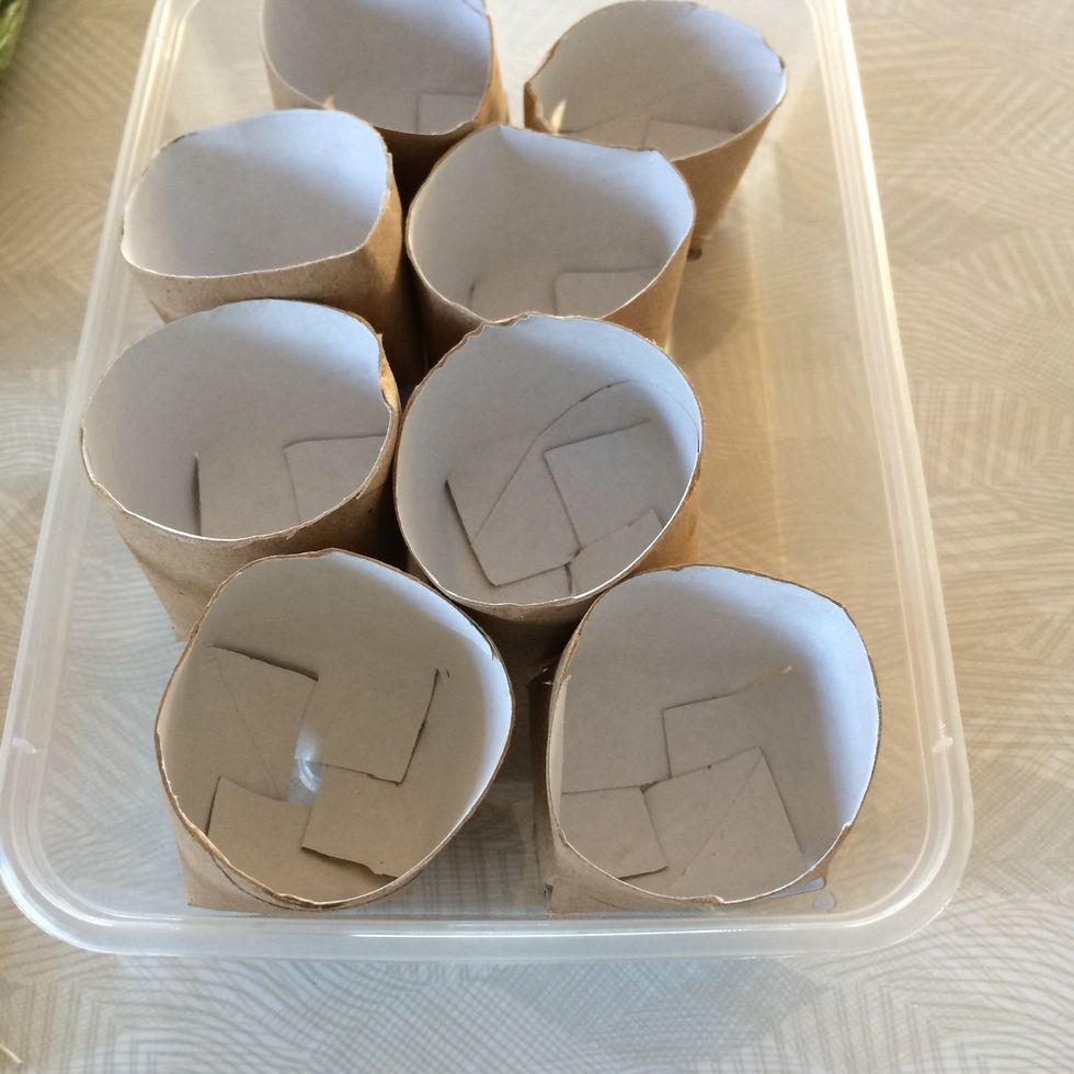 Get your containers ready. I used toilet rolls cut in half and folded - I learnt this from someone else's guide!