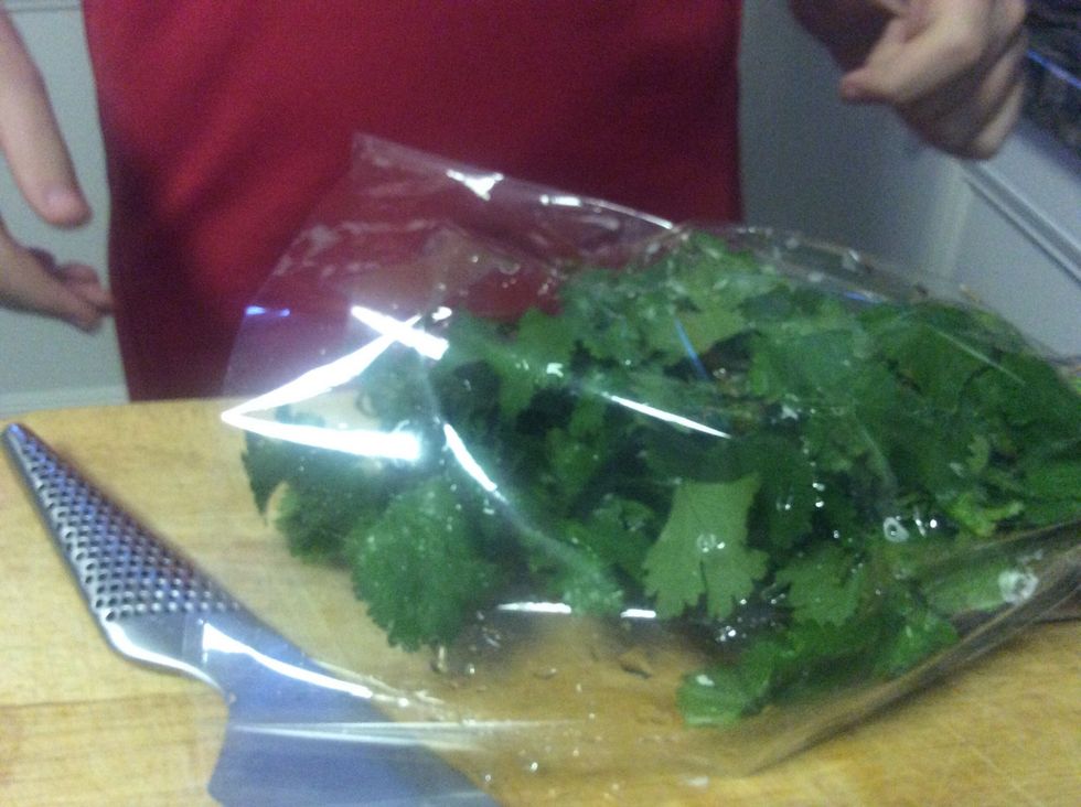 Get your coriander or parsley (up to you)