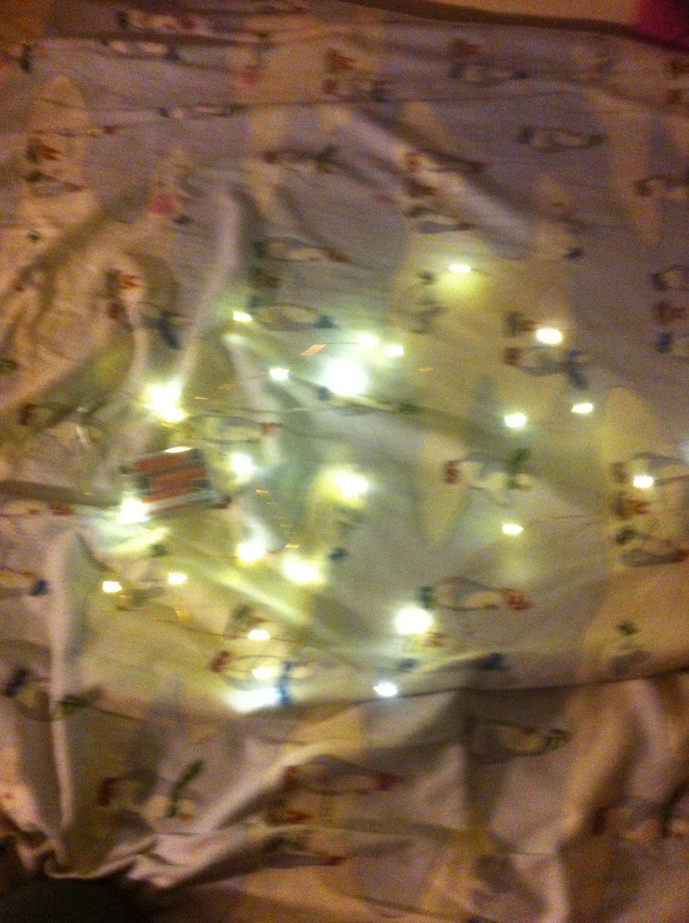 Get your firefly lights. I actually got these from Five Below for $5.