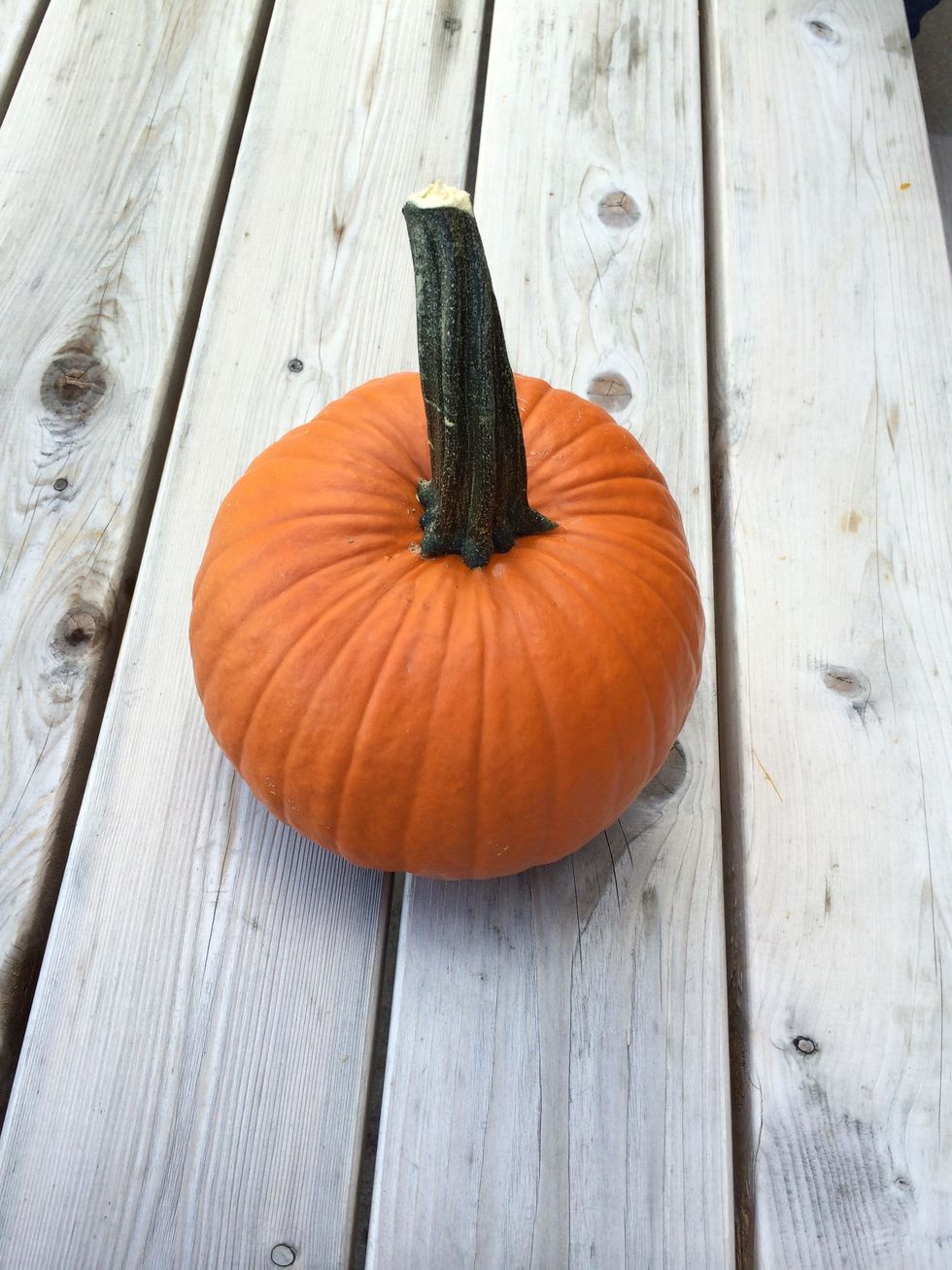 Get your large pumpkin.