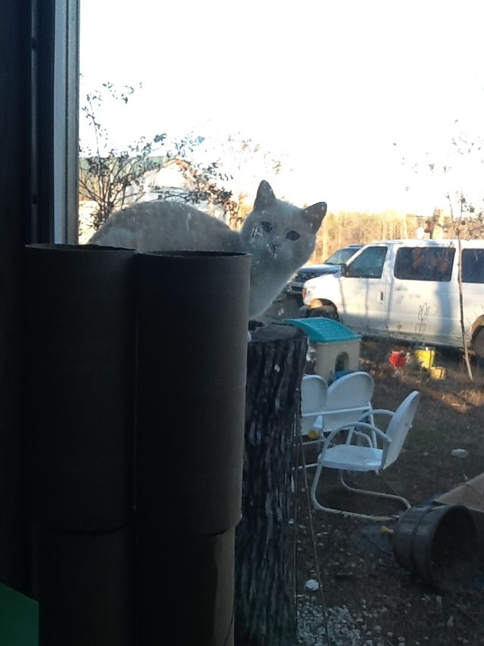 Get your supplies ready...