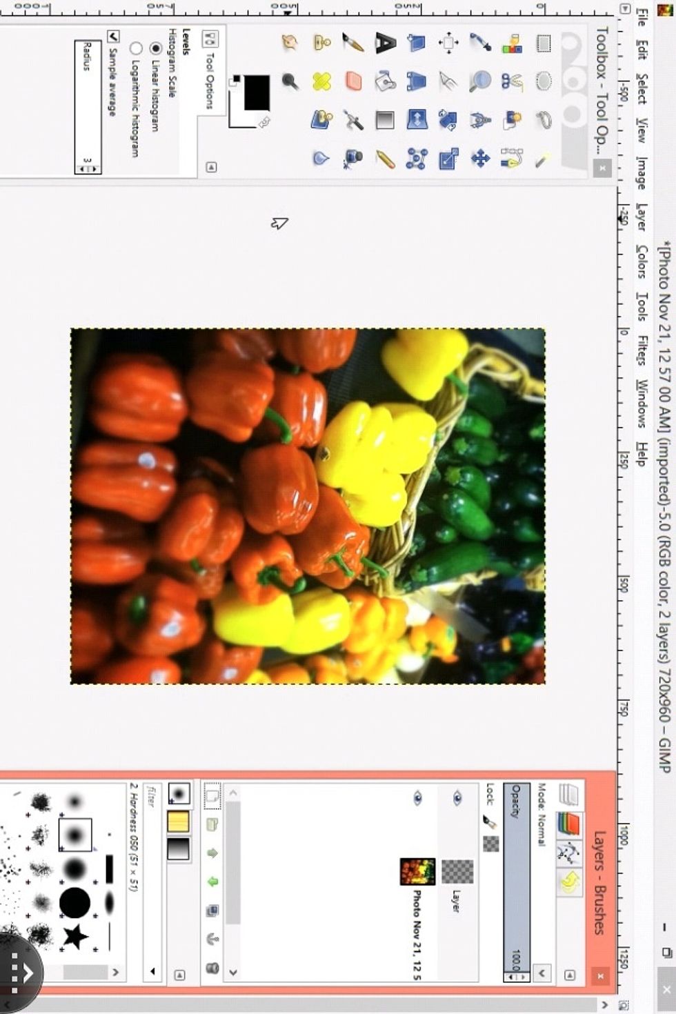 GIMP is a PHOTOSHOP substitute for Windows and Linux (may be a Mac version also.) Edit photos or Paint digital masterpieces!