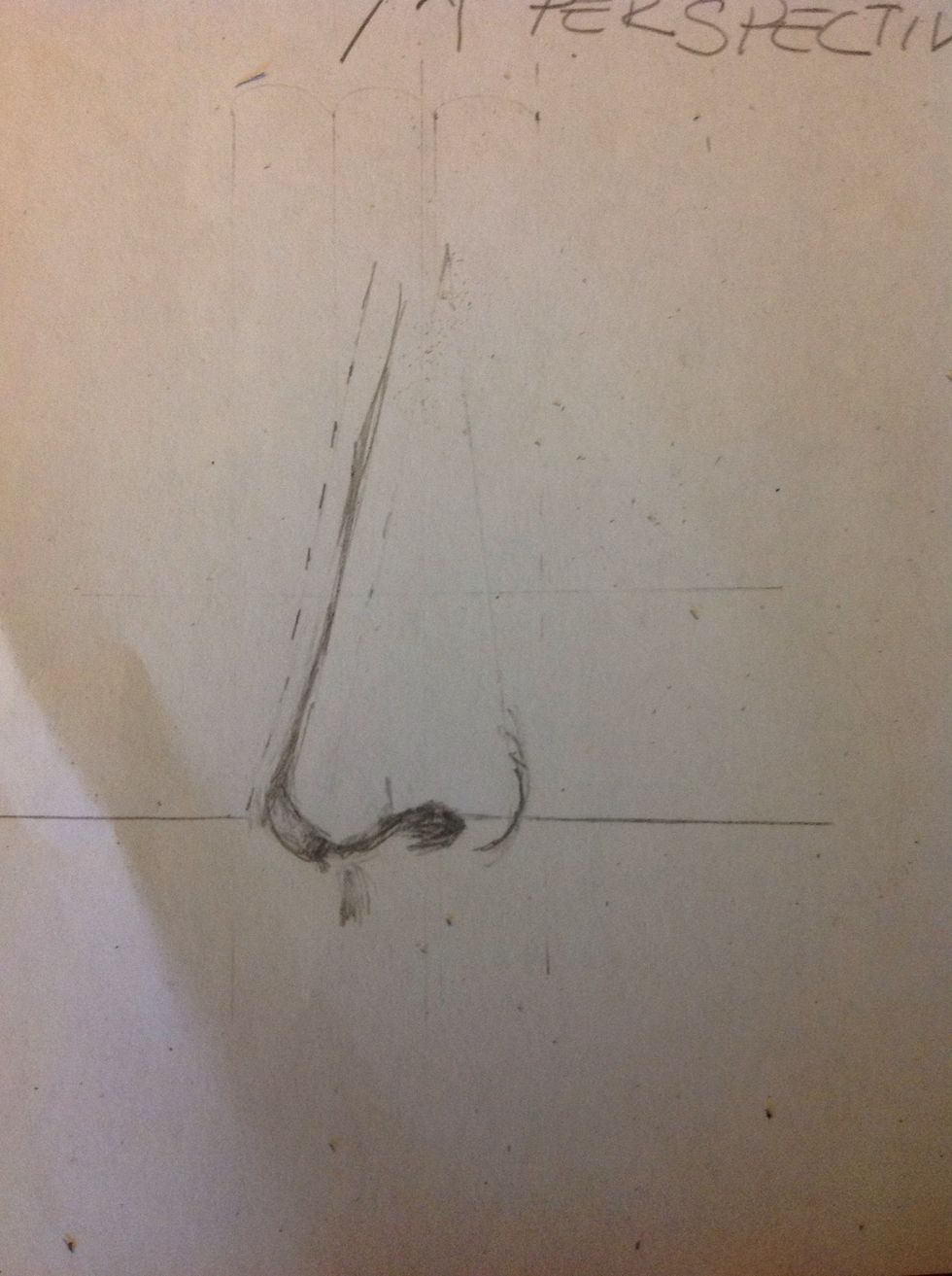 Give shape to the tip of the nose, Add a circular line on the side of the tip to represent the fin of the  nose that we can't see. Draw the nostril, it's important and marks the shape of the nose