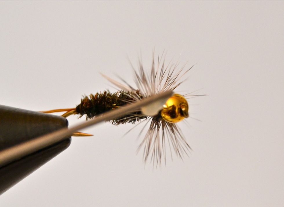 Give the head area a good soaking of head cement.