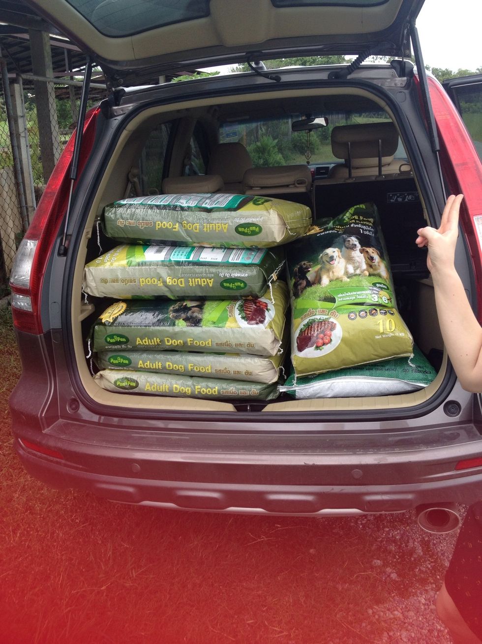 Give the poor dogs some food. Today we've got 60 kg of dog's food and 20 kg for fish.