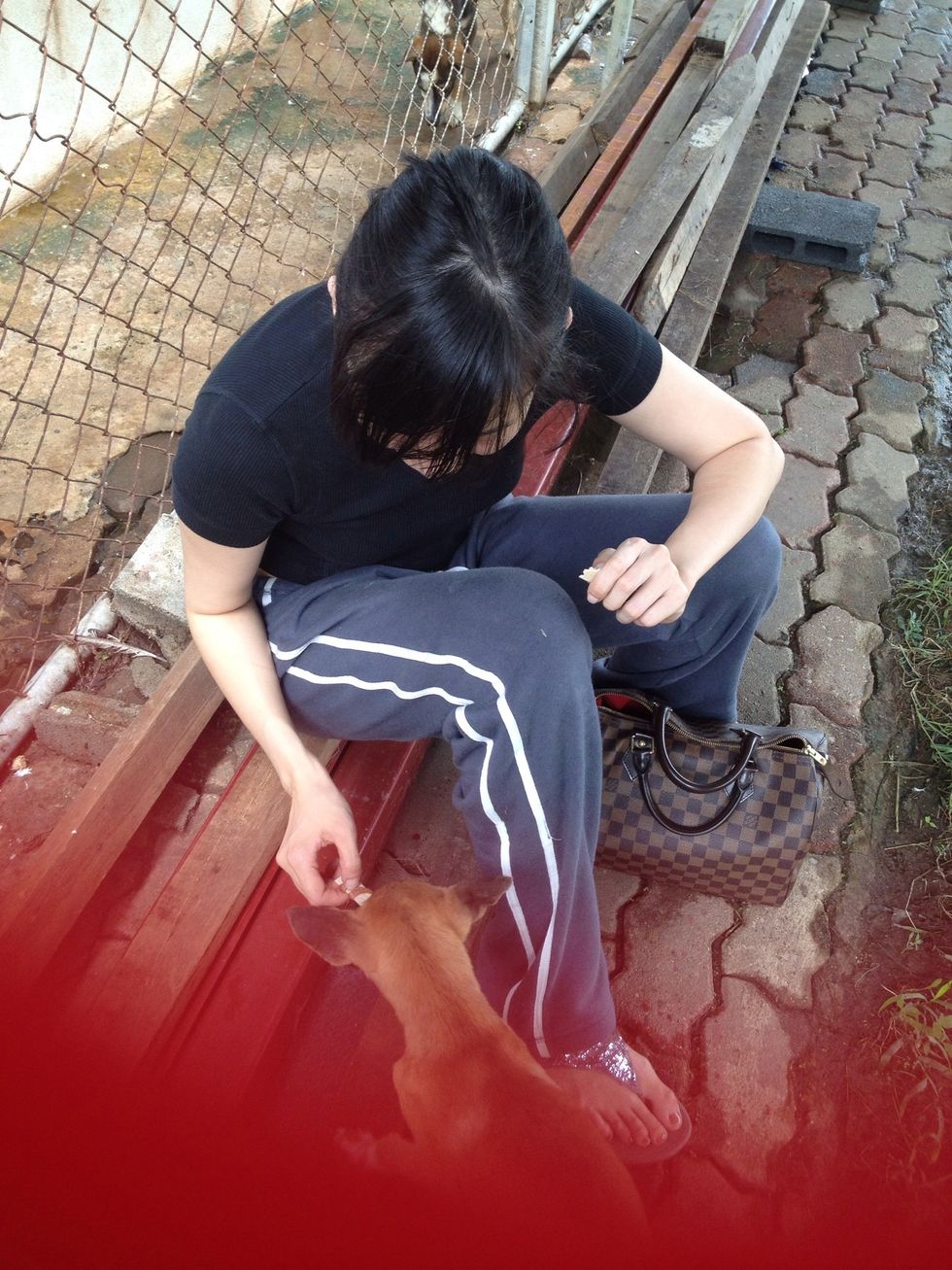 Give them some snack.