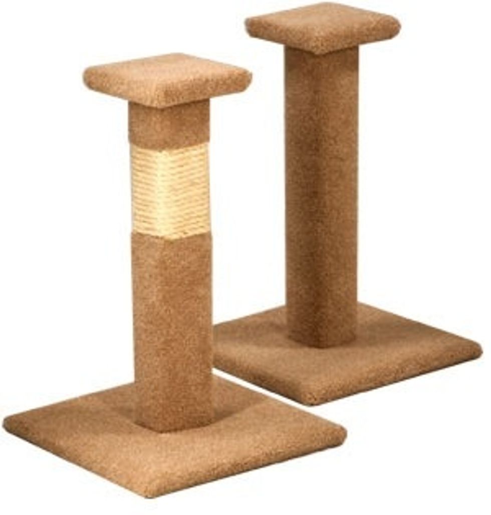 Give your furry friend a scratching post (I don't believe in declawing) or a cat condo if you have the space. Spread a little dry catnip on them to get them comfortable when introducing something new.