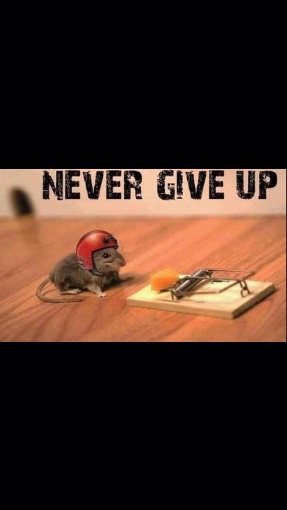 "Giving up will only make it worse." -me. I personally do not believe in giving up. I love trying new things. Accomplishing something that is challenging for me is the best feeling in the world.