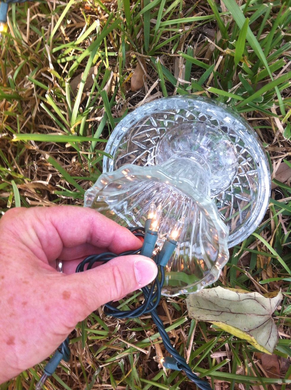 GLOW:  Stuff several lights into the  mushroom stem (vase).