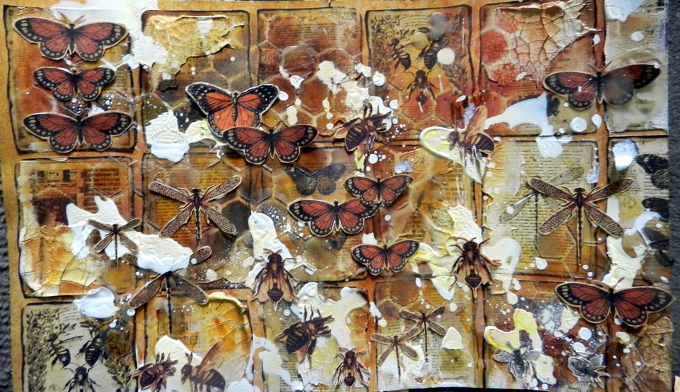 Glue down the insects on the pages.