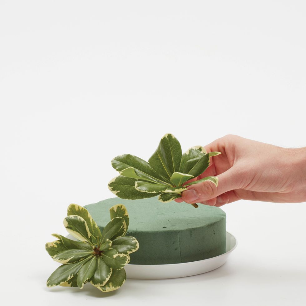 Glue foam to design dish.