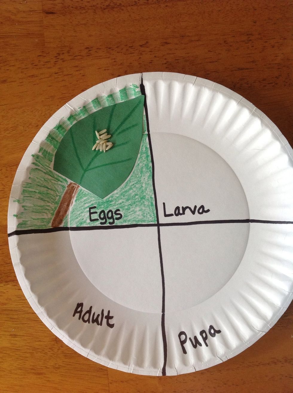 Glue the leaf with rice onto the eggs section. Using crayons color the background green and add a stem to the leaf.