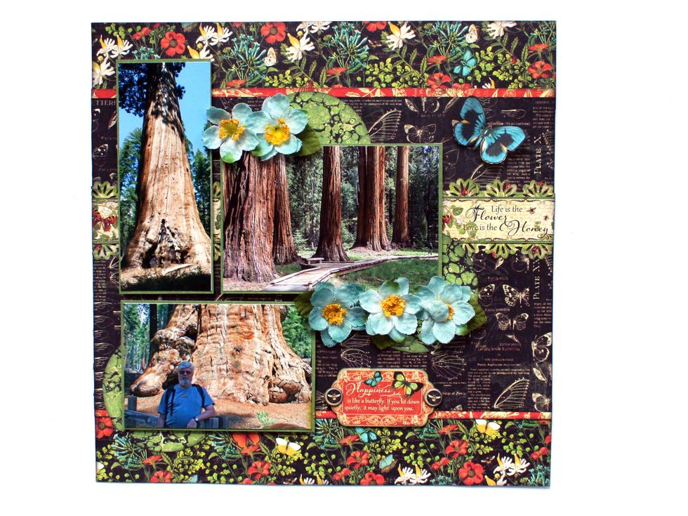 Glue the photos in place over the circles as shown.  Add a piece of decorative chipboard to the right of the bottom photo.  Embellish with flowers and fussy cut butterflies.