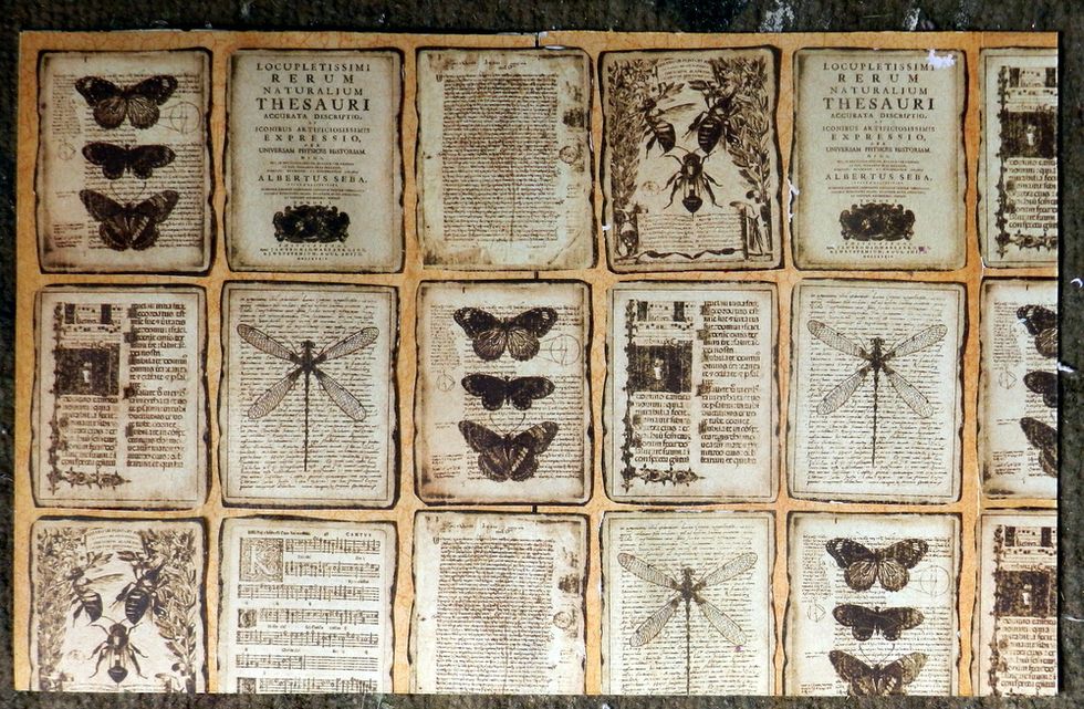 Glue them on the pages.