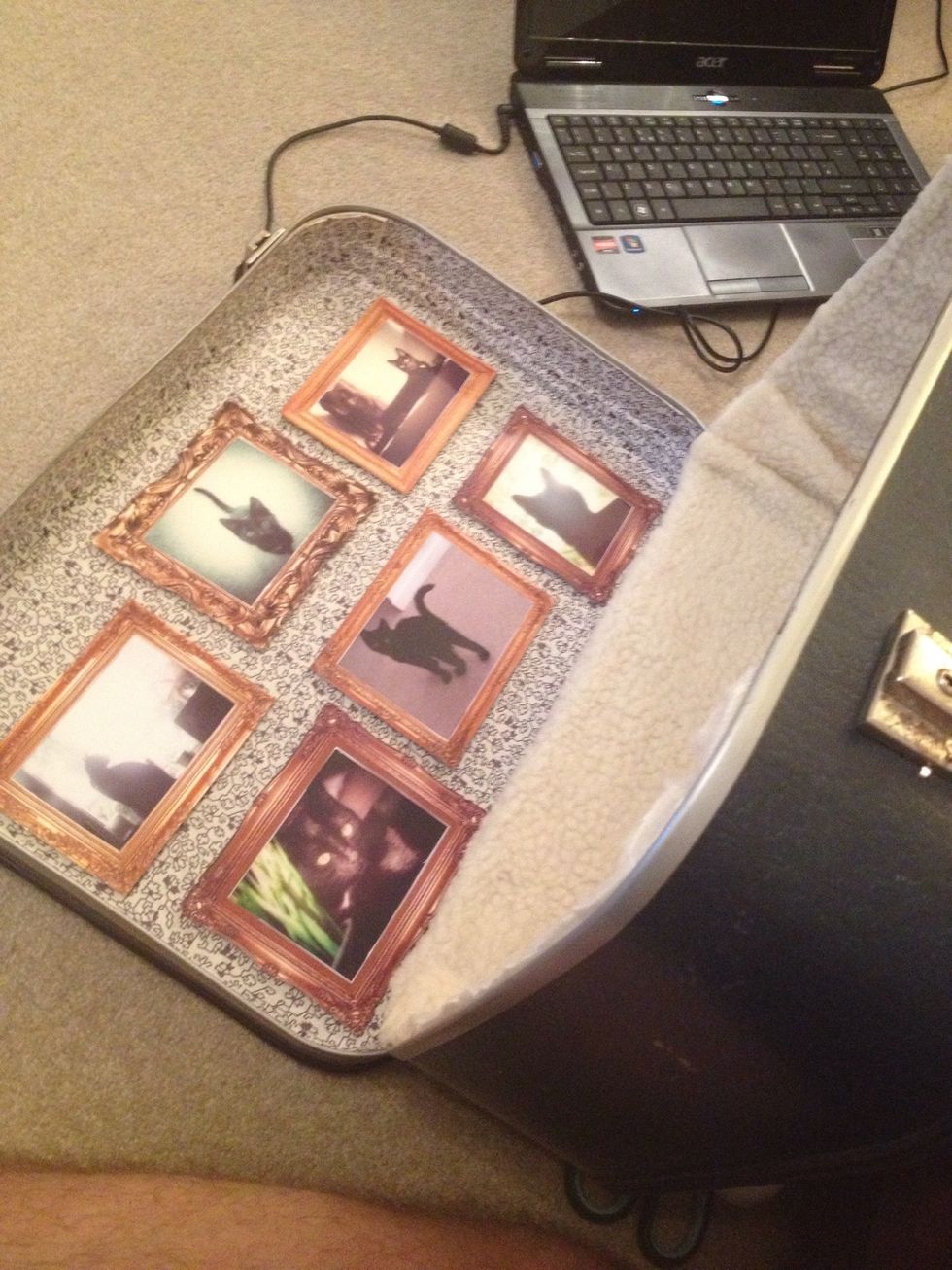 Glue these photos or whatever you like into the top part of the case. Get creative and decorate it as you see fit! Leave the whole thing to dry overnight. Cats don't like glue fumes!