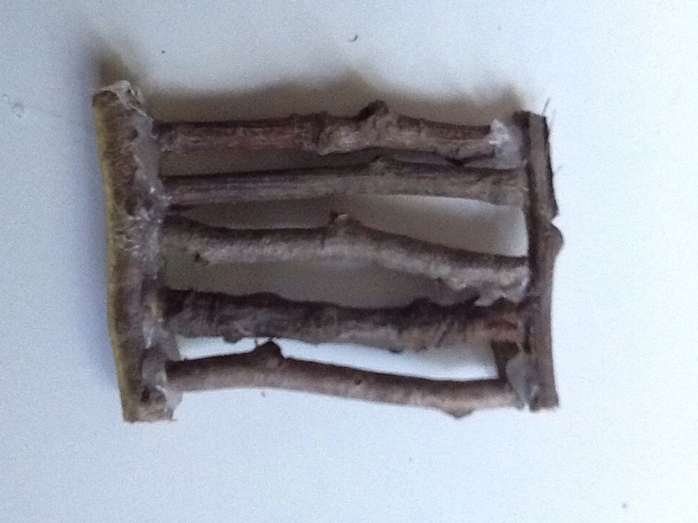 Glue your five 2 inch long twigs in between two out of four 1.5 inch long twigs.