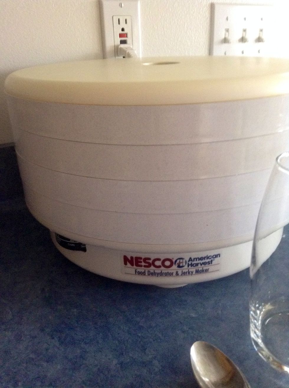 Go a head and get your dehydrator while you're at it.