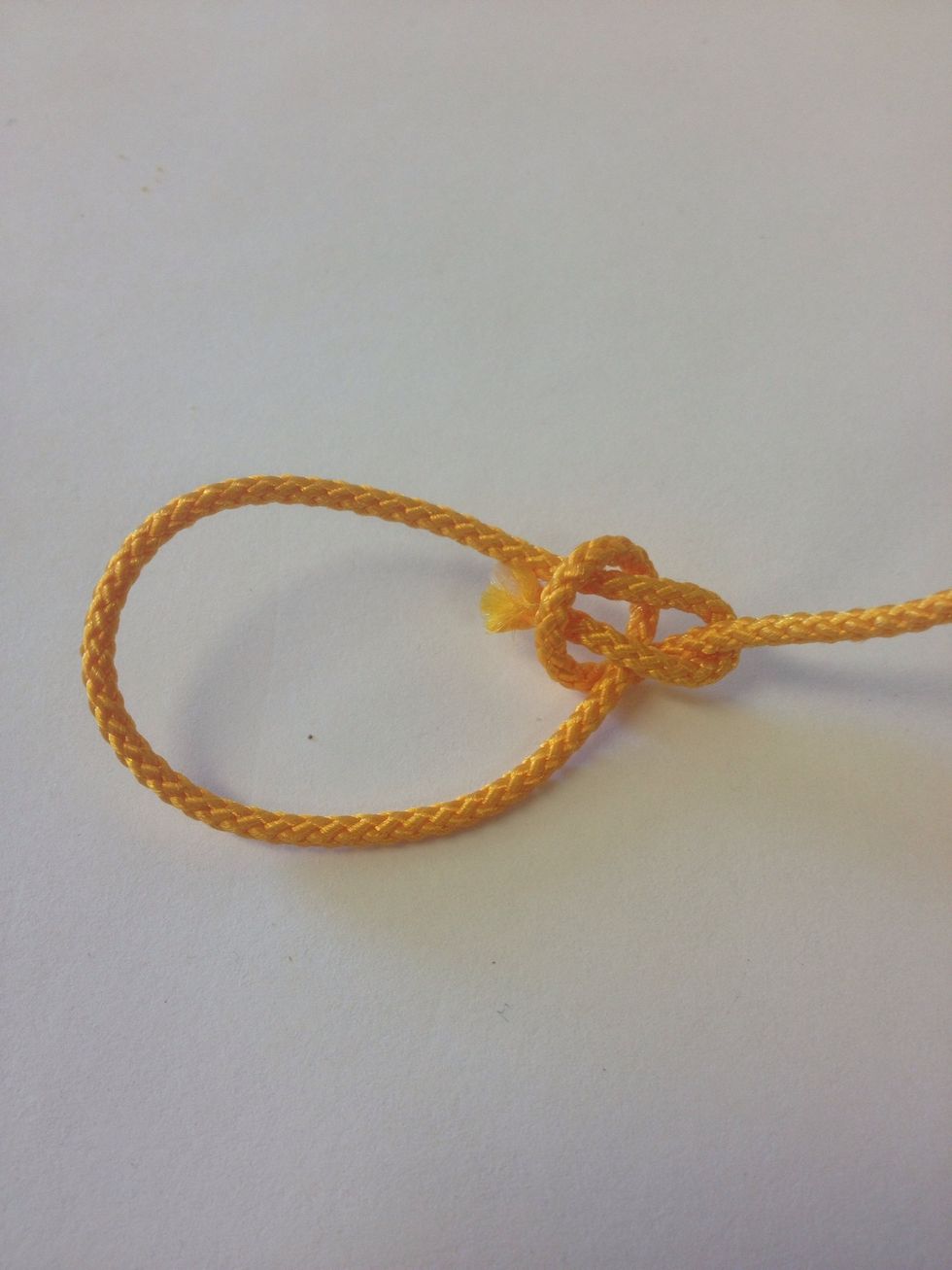 Go around the line and back through the loop.
