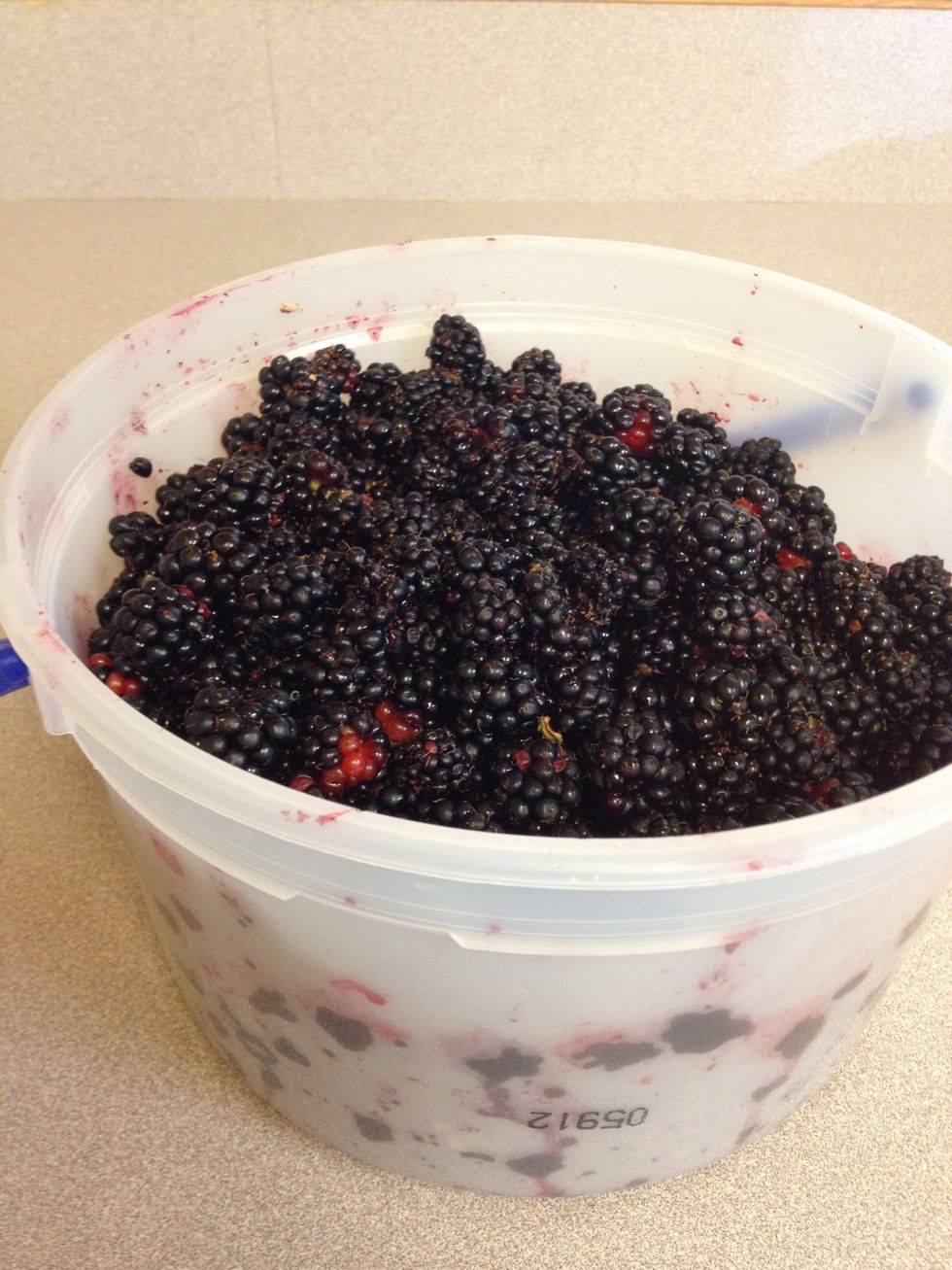 Go berry picking!  These are wild blackberries we found growing on public property.  This cobbler works fine with fresh, frozen, or canned fruit.