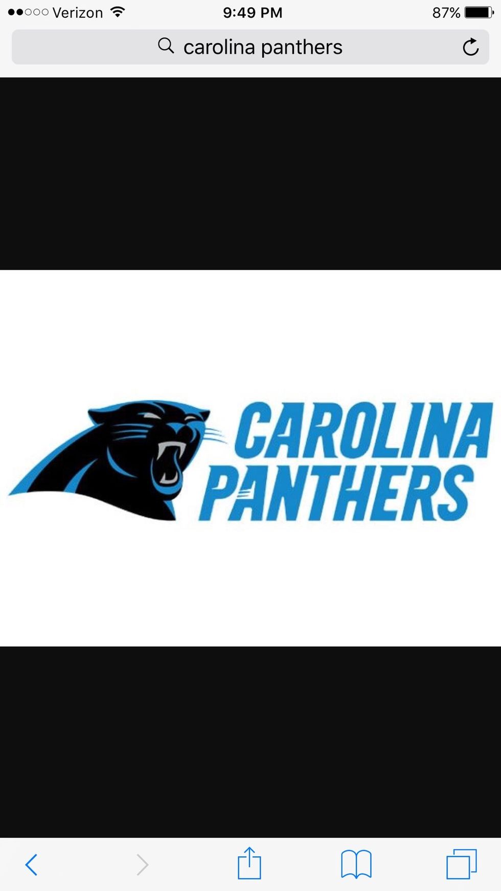 Go Carolina Panthers! NFL team